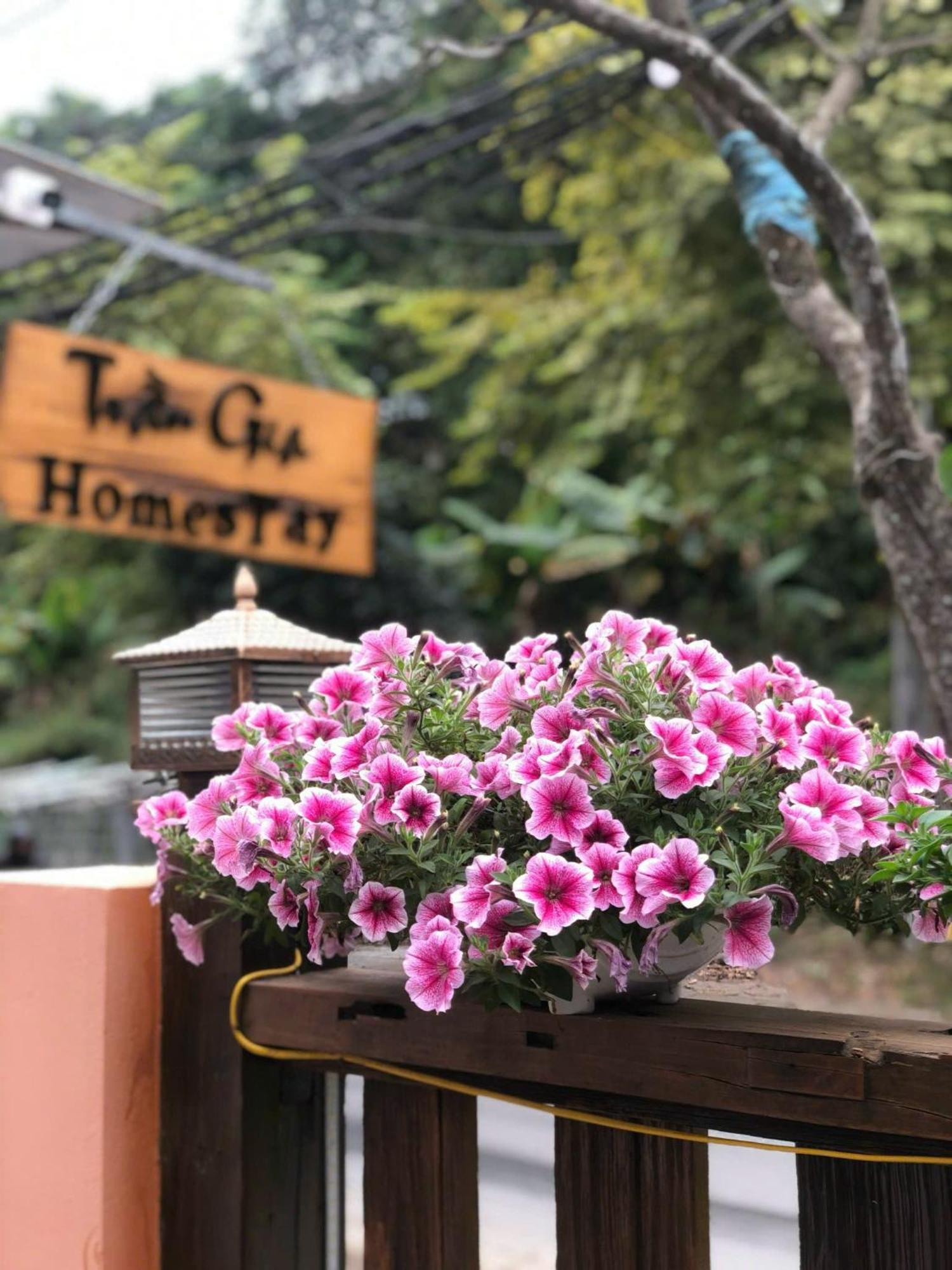 Tran Gia Homestay Nghia Lo Zewnętrze zdjęcie